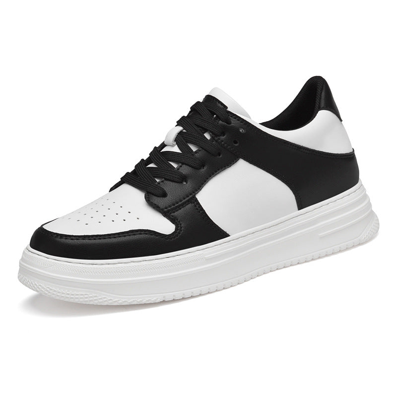 ElevateShoes Lifty